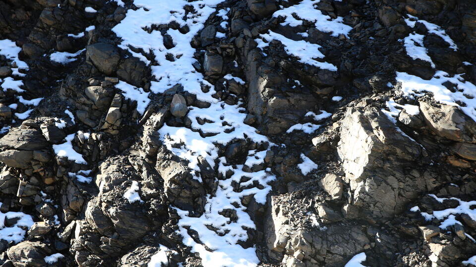     Четыре человека погибли при сходе лавины в горах Вардусия в Греции www.globallookpress.com/Maksim Konstantinov