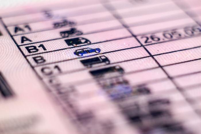 Обложка © Shutterstock / FOTODOM / Bartosz Zakrzewski