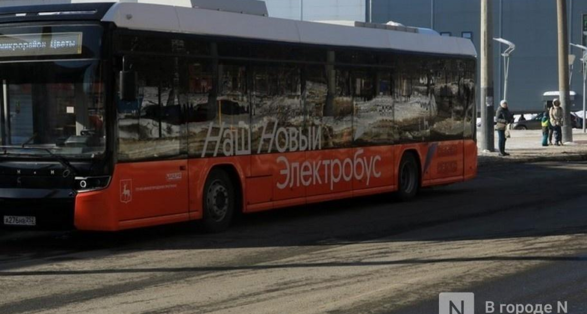    Фото с сайта i5.vgoroden.ru