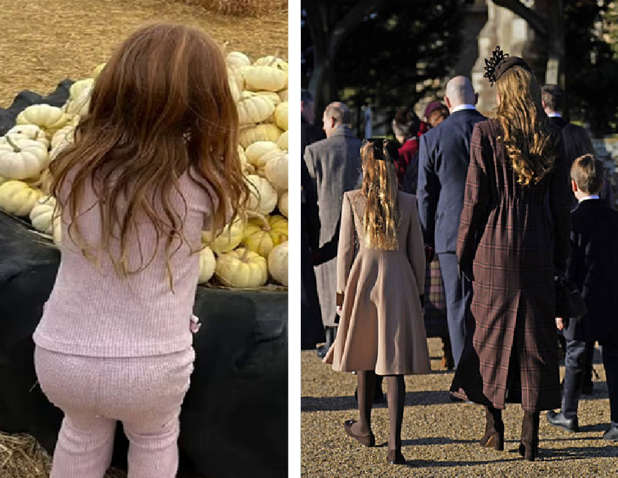 фото из яндекса