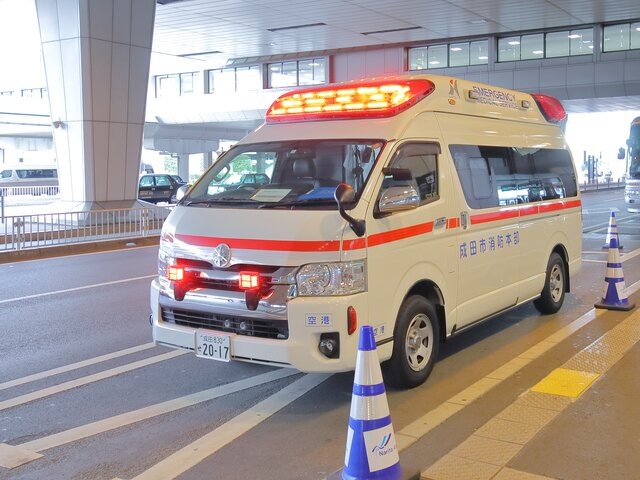    Фото: depositphotos/TKKurikawa