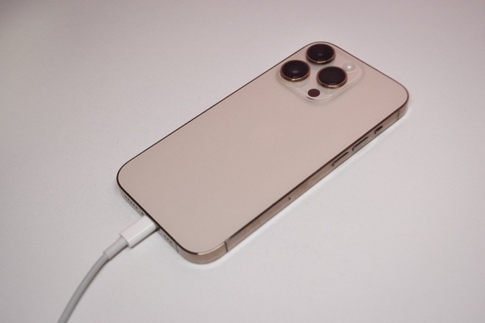    В Биробиджане полиция нашла телефон, украденный во время застолья Даниил ОПАРИН