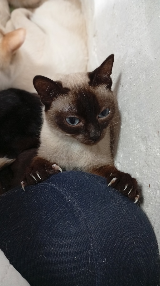 Фото из личного архива