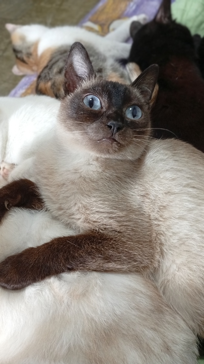 Фото из личного архива