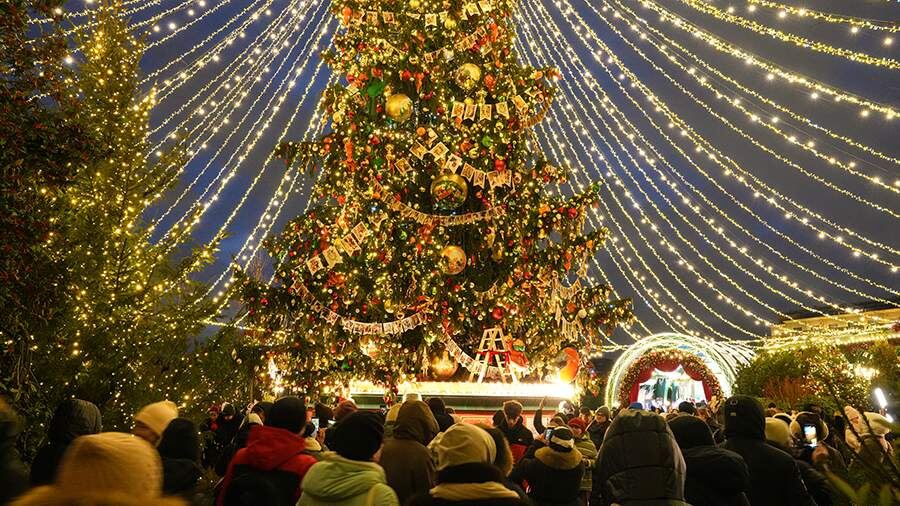    Фото: ИЗВЕСТИЯ/Дмитрий Коротаев