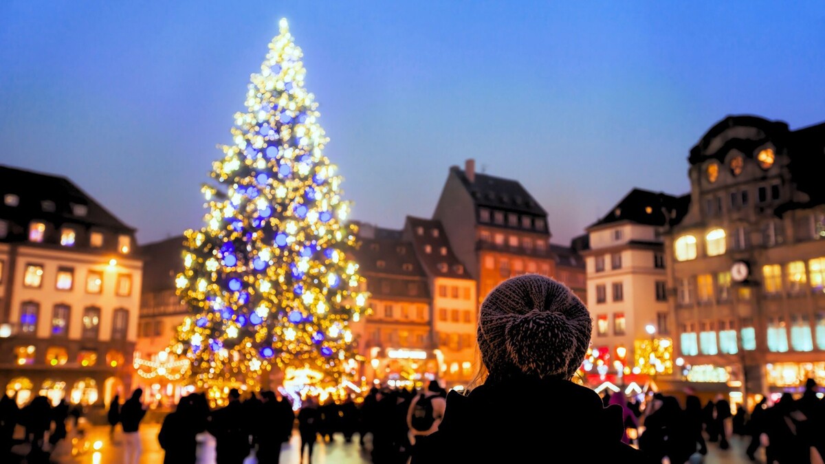 The famous 30-meter tall Christmas tree has been set up in Kléber ...