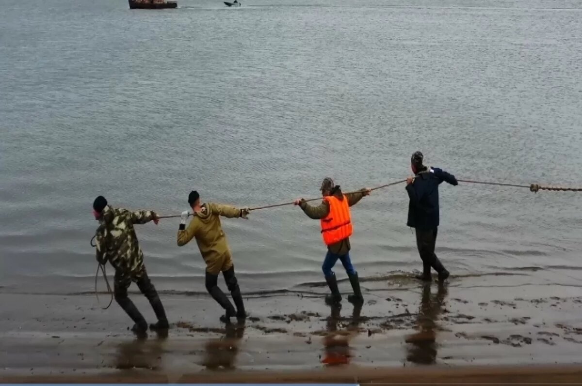    В Томской области разрешат выловить рекордный объем рыбы в 2026 году