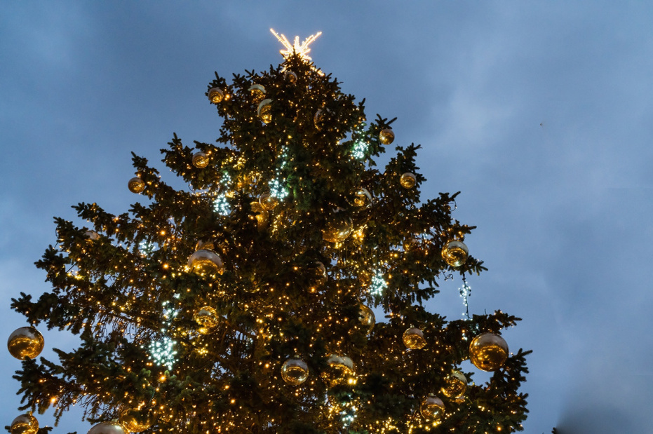    Shutterstock/FOTODOM