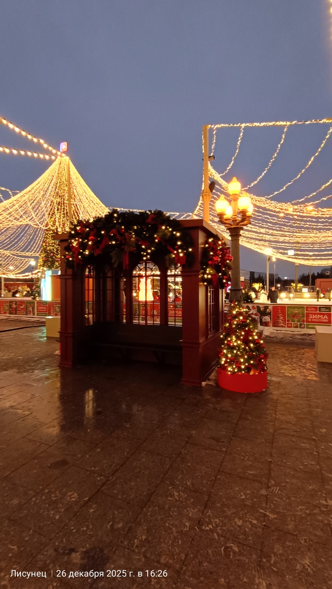 Перед парком небольшой каточек.