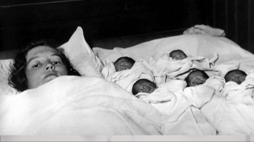    Фото: ВКонтакте/wall-88464465_103