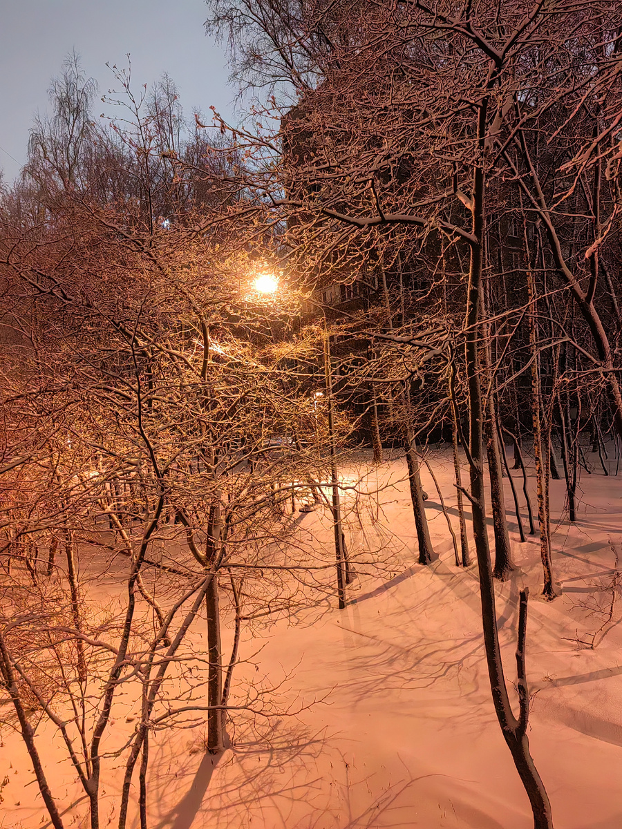 Фото автора