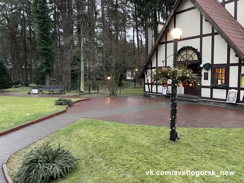 Предновогодний пейзаж перед входом в Органный зал, 26.12.2025