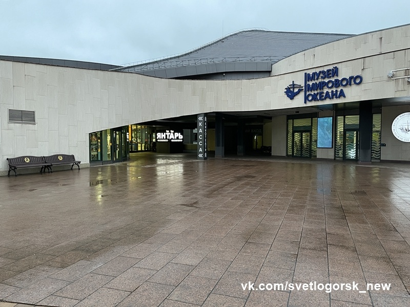 Предновогодний пейзаж перед входом в Музей Мирового океана, 26.12.2025