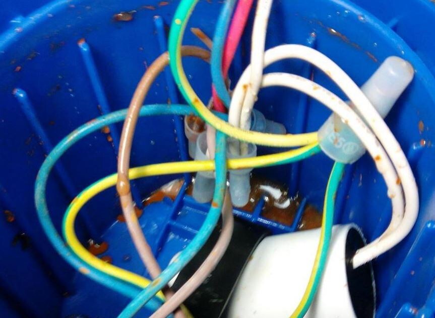 Вода в клеммном отсеке насоса. Фото из интернета.