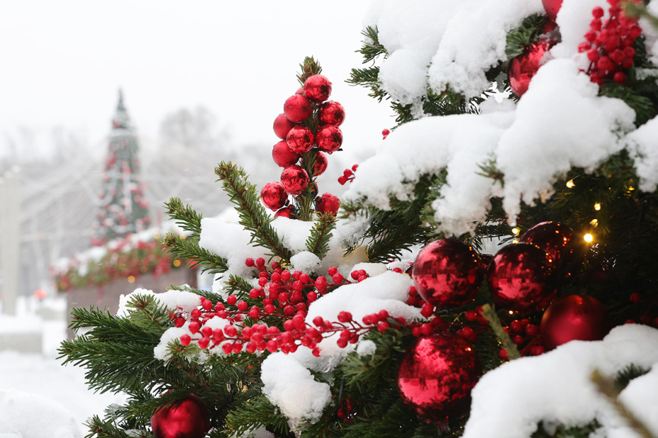    Наталья Шатохина/NEWS.ru