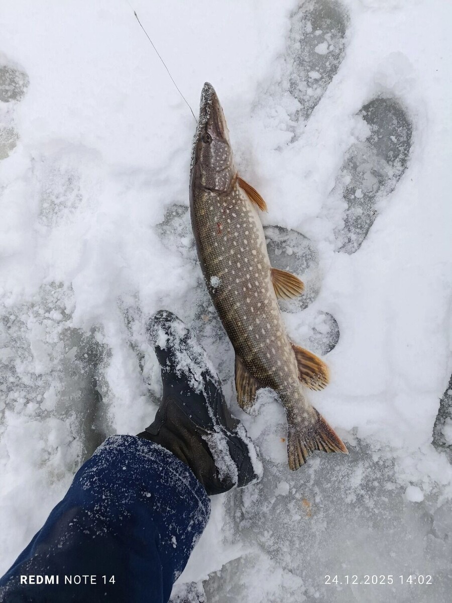    Зимняя рыбалка в Оренбуржье   Вконтакте Рыбалка в Оренбурге и области Александр Селин