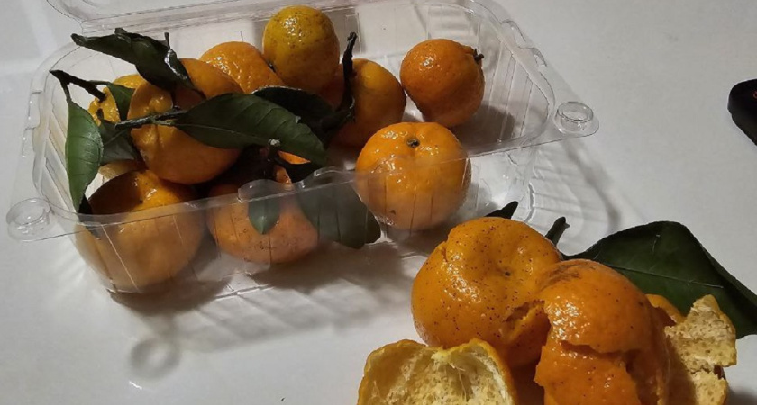    Фото Анастасии Дмитриевой