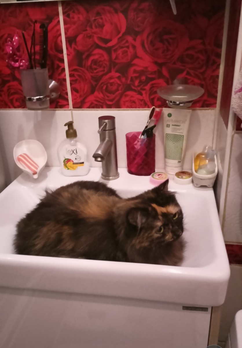 Фото автора .Моя Тося