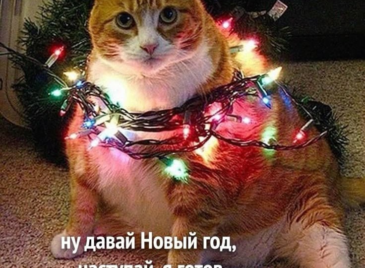 Совсем немного осталось до Нового года