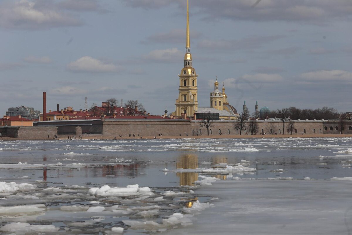 Фото: Александр Глуз / «Петербургский дневник»