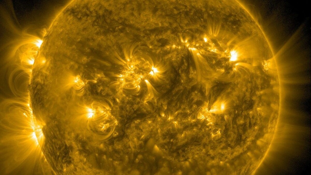    Фото: t.me/lpixras