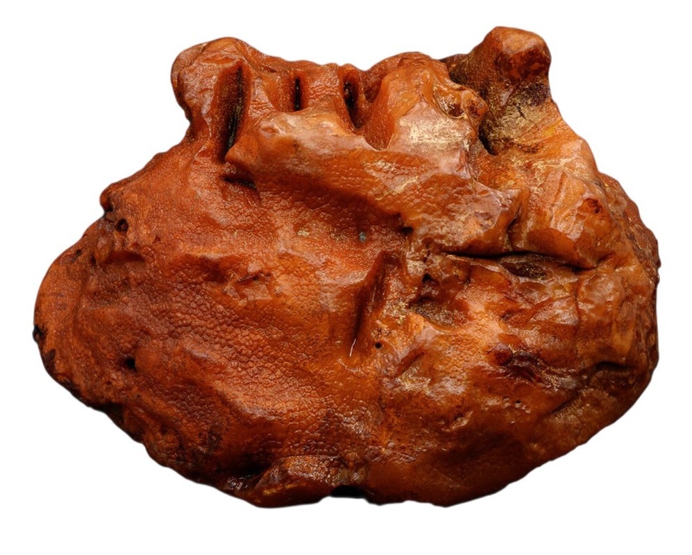 Самородок "Голова тигра". Фото из открытых источников сети Интернет.