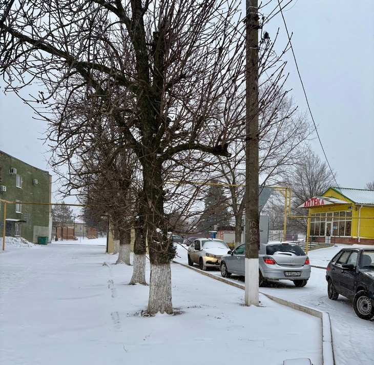    зима Алексеева Наталья