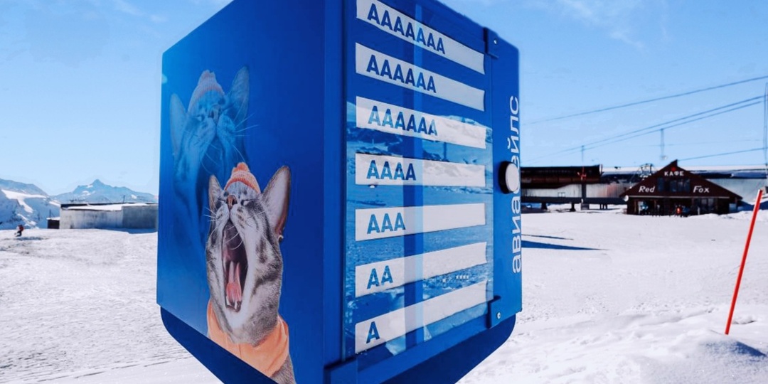 Крик в облака: на Эльбрусе появился орометр для сброса годового стресса