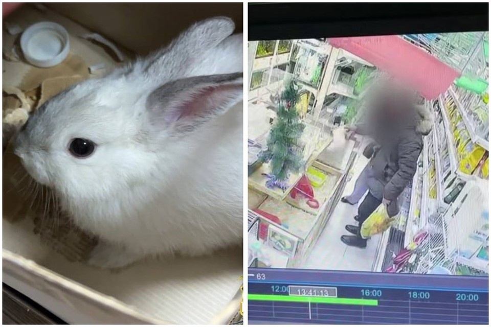    Необычный инцидент произошел накануне Нового года в Республике Бурятии МВД республики Бурятия