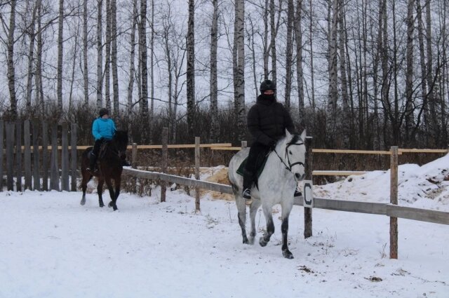    Фото: «АиФ-Урал»/ Евгения Гаева