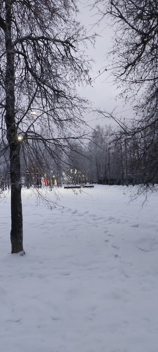 Утро в нашем парке