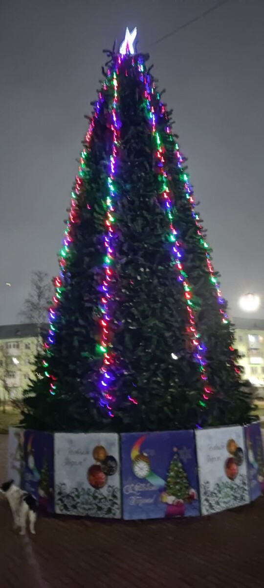 На площади у парка (не дала нормальную фотку сделать!)