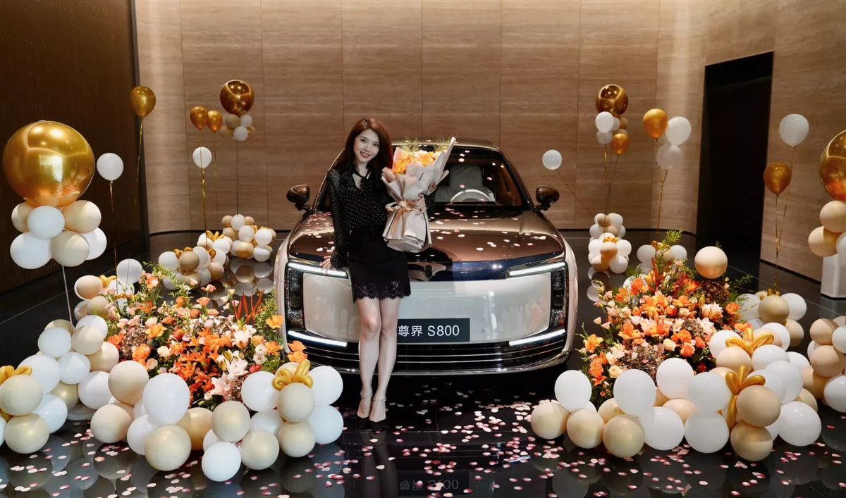 Maextro S800 заставляет конкурентов не просто нервничать, а потесниться в сегменте автомобилей с высокой маржой