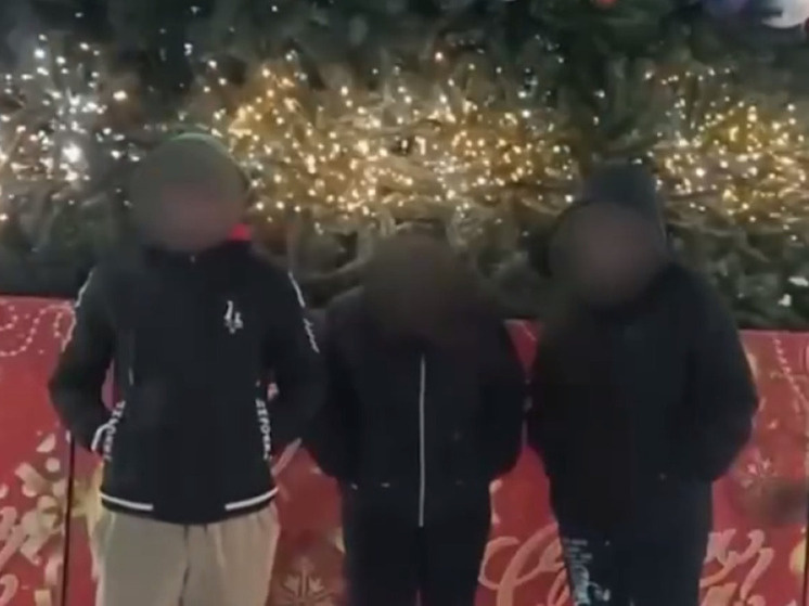     Фото: стоп-кадр видео https://t.me/amur_mash