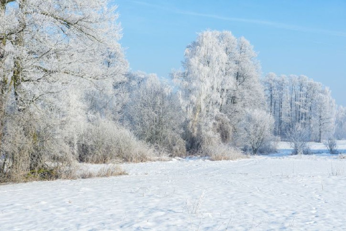    Фото: iStock/Piotr Krzeslak