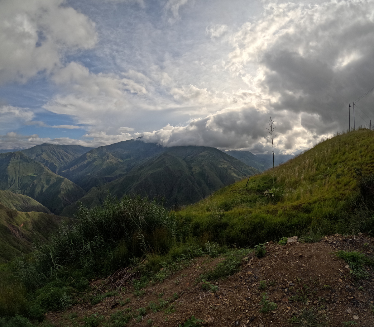 Красивая дорога