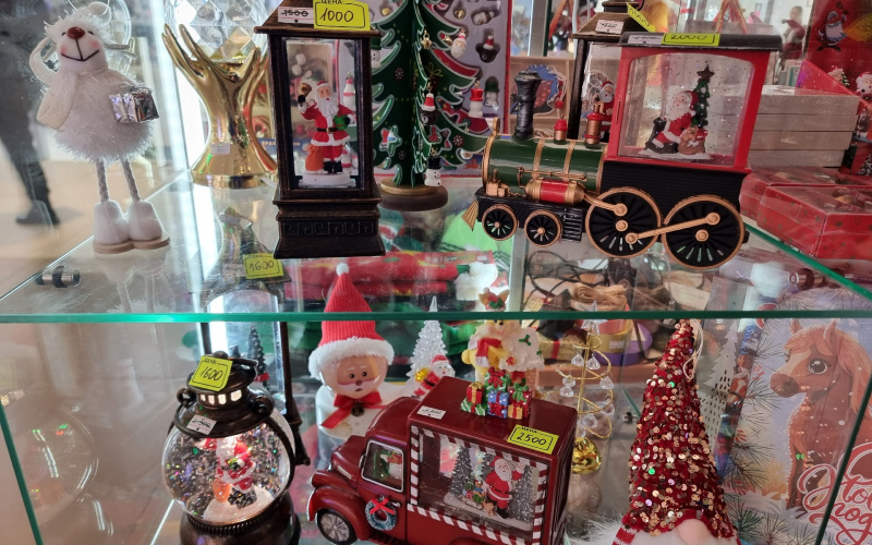    Ирина Яковлева