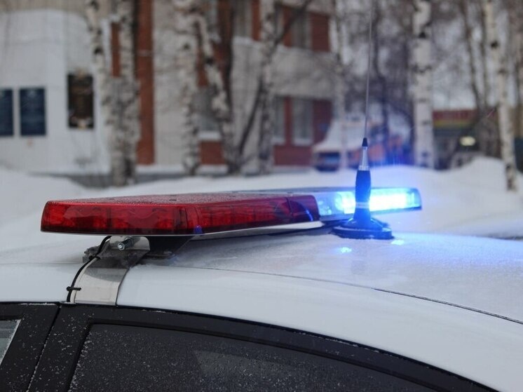     ФОТО: ТГ КАНАЛ ТОМСКАЯ ПОЛИЦИЯ