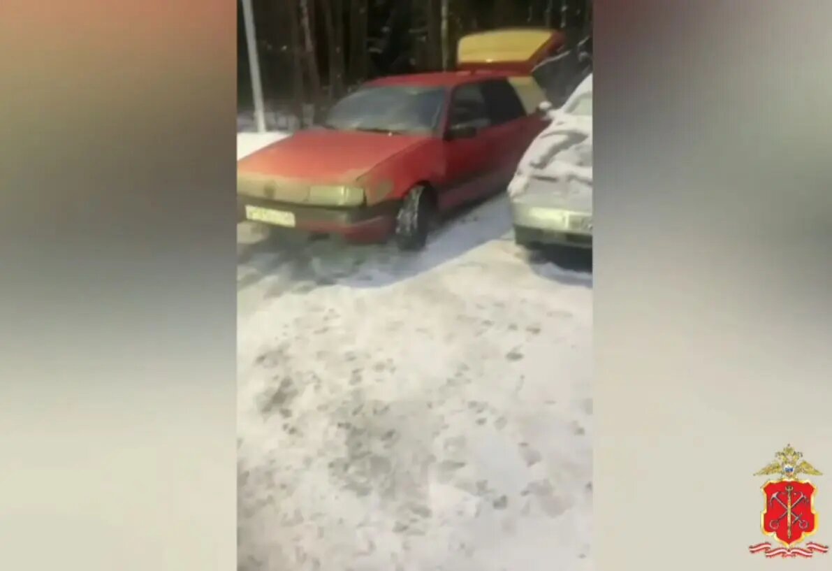    Фото: кадр видео ГАИ по Петербургу и Ленобласти