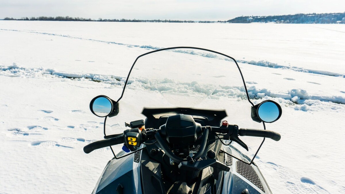    Фото: Dmitry Markov152 / Shutterstock / Fotodom