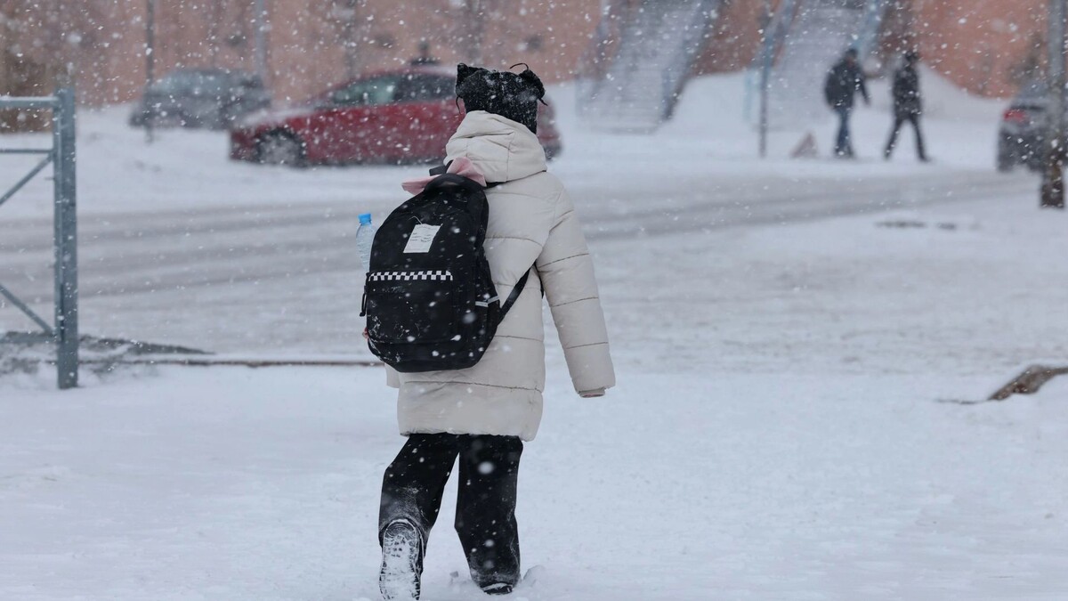    Фото: Андрей Ткачев/«Ямал-Медиа»