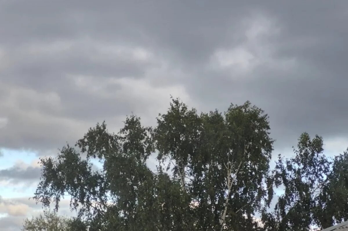    Над Петербургом опустятся плотные облака, пройдёт мокрый снег