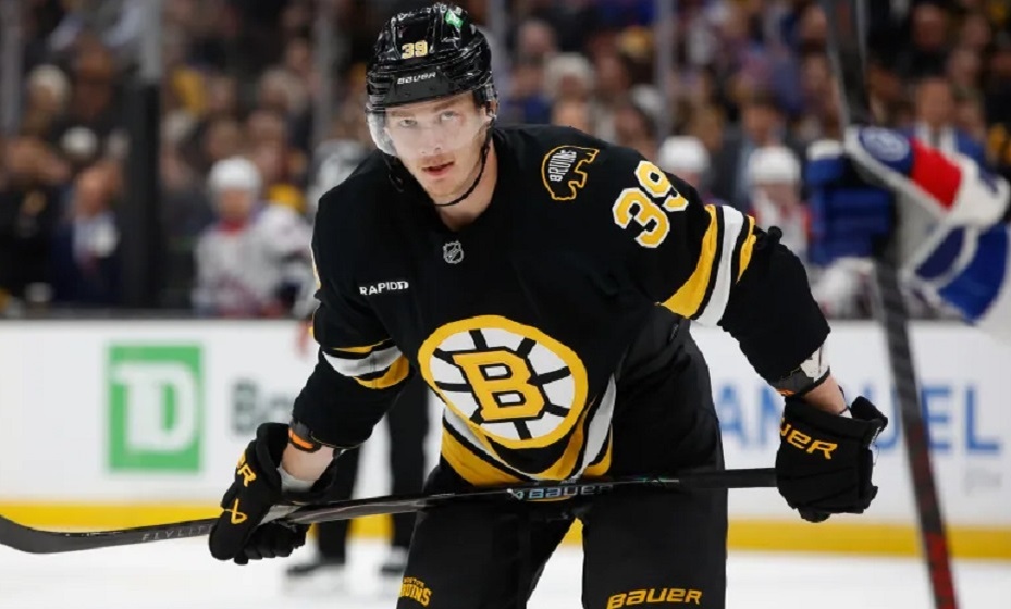    Гики возглавил рейтинг лучших снайперов НХЛ в 2025 календарном году. Фото: НХЛ