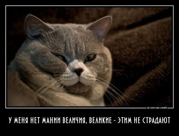 Юмор психологов: время хорошего настроения и шуток 😄