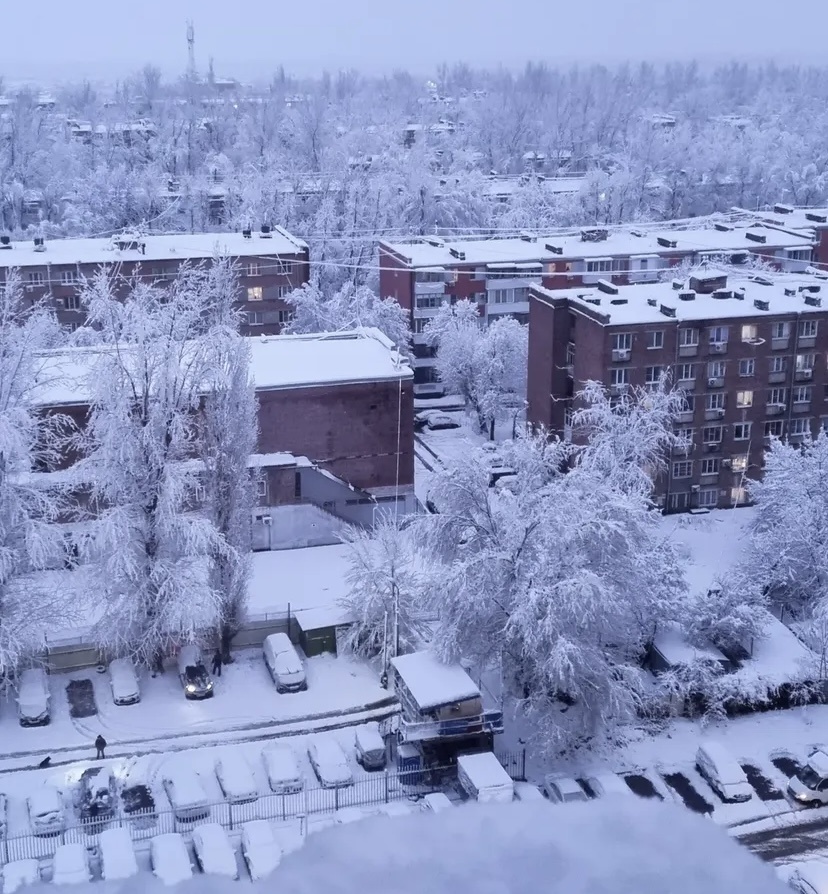    Фото: "Веселовские вести" Веселовские вести