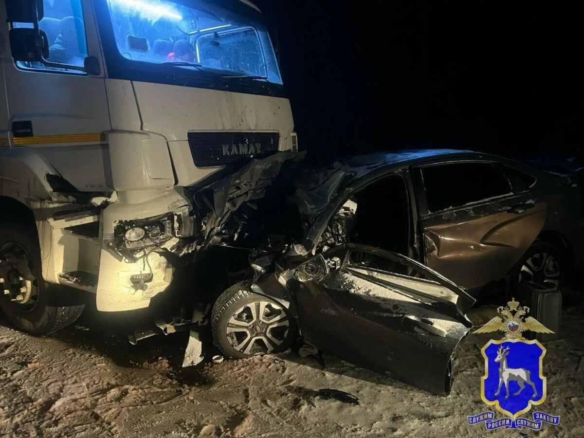     / Источник: max.ru/police163