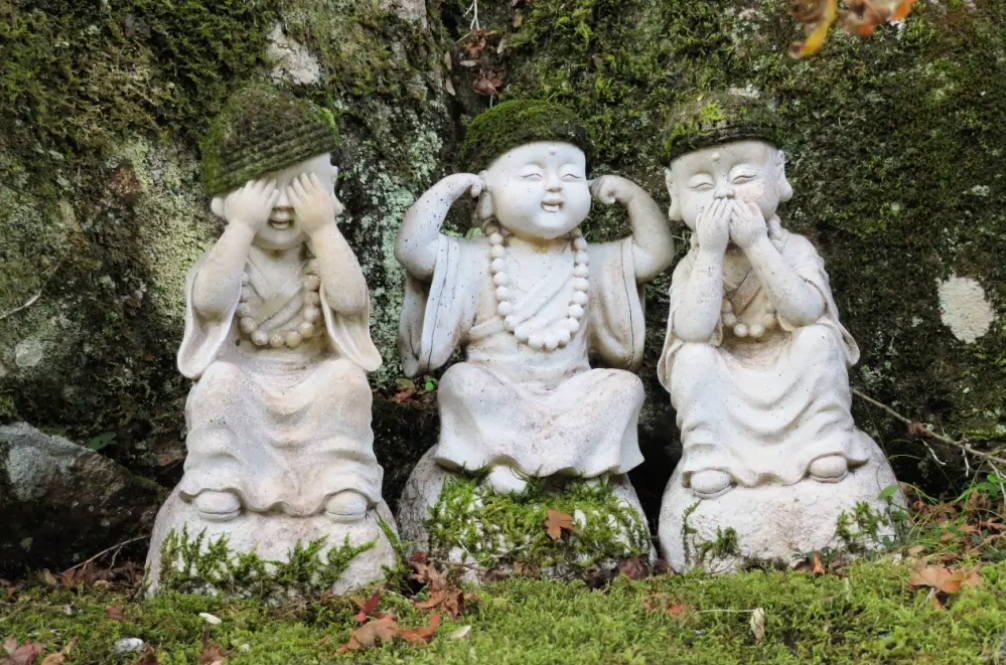 Угадай пословицу по картинке!