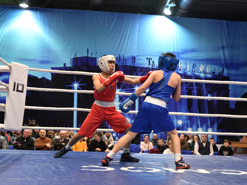     Фото: пресс-служба администрации Дмитровского м.о.