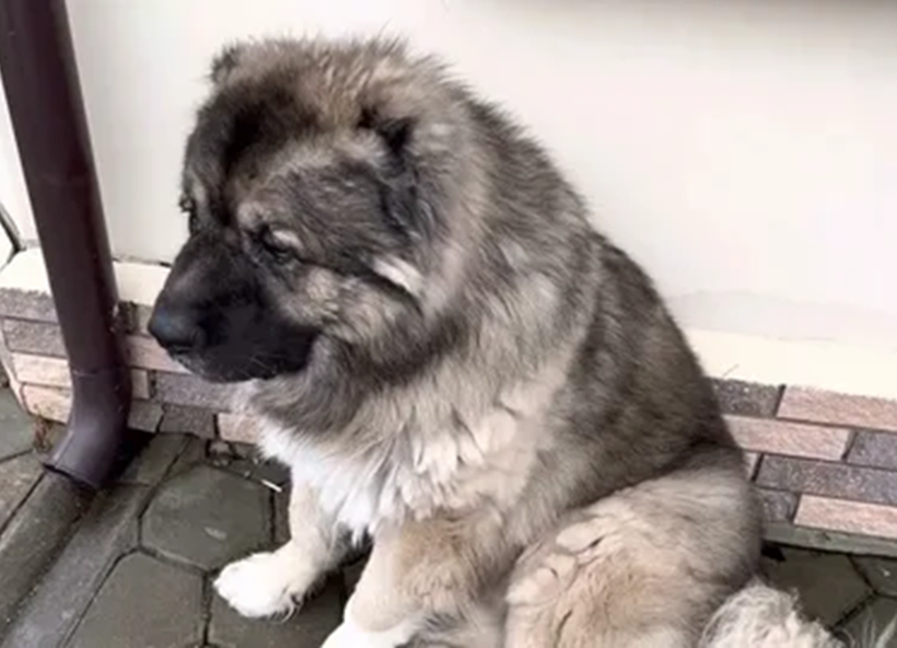 -Вы меня совсем не любите! К врачам привели!