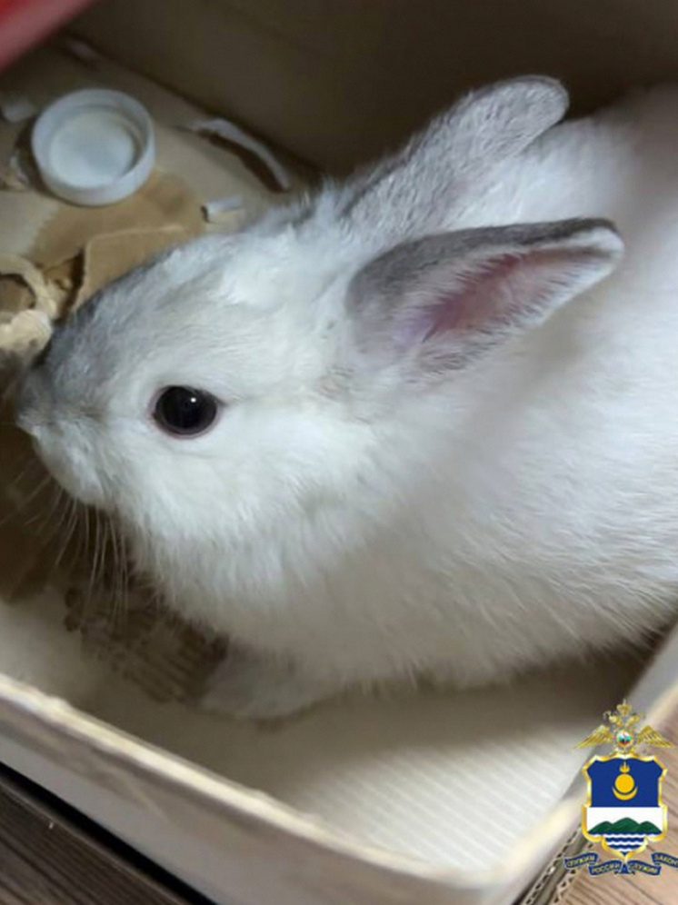     МВД по Бурятии